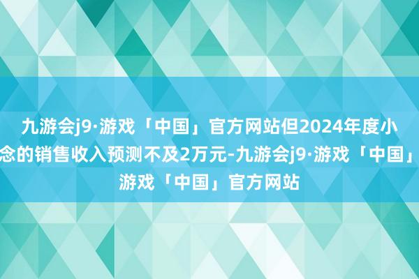 九游会j9·游戏「中国」官方网站但2024年度小红书渠说念的销售收入预测不及2万元-九游会j9·游戏「中国」官方网站