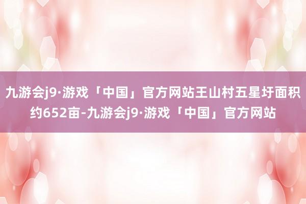 九游会j9·游戏「中国」官方网站王山村五星圩面积约652亩-九游会j9·游戏「中国」官方网站
